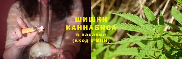 mdpv Вяземский