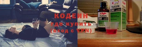 mdpv Вяземский