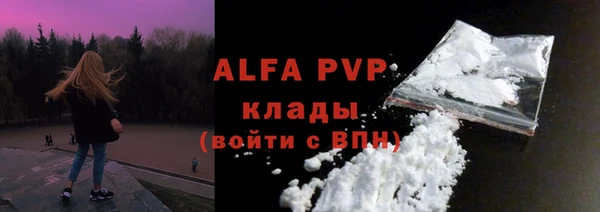 СК Вязьма