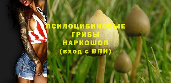mdpv Вяземский