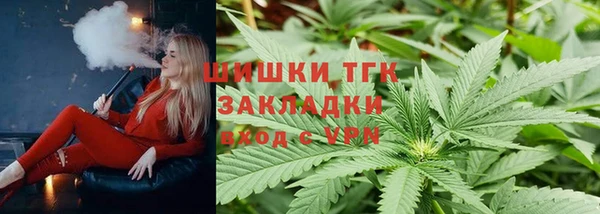 СК Вязьма